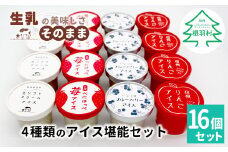 4種類のアイス堪能16個セット 生ソフトクリームアイス 紅ほっぺ いちごアイス 80ml 100ml 生乳 牛乳 ミルク スイーツ アイスクリーム 信州 搾りたて アイス イチゴ ブルーベリー アソート りんご 信州りんご10000円