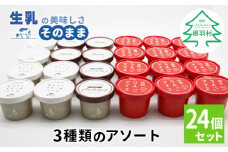 数量限定★たっぷり３種類のアイスアソート 24個入り 80ml 100ml 牛乳 ミルク スイーツ アイスクリーム 信州 搾りたて アイス りんご りんごアイス アップル りんごミルク りんごスイーツ  根羽村 12000円 12,000円