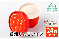 期間限定価格！信州りんごアイス たっぷり24個入り アイスクリーム りんご アイス アイスクリーム アイスミルク ミルク 牛乳 スイーツ デザート 10000円 10,000円