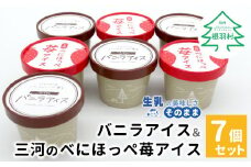 バニラアイスクリーム＆べにほっぺ苺アイス 7個セット 5000円　バニラアイスクリーム　紅ほっぺ　いちご　アイスクリーム　ソフトクリーム　スイーツ　デザート