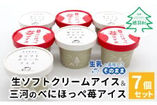 生ソフトクリームアイス＆べにほっぺ苺アイス 7個セット 5000円　生ソフトクリームアイス　紅ほっぺ　いちご　アイスクリーム　ソフトクリーム　スイーツ　デザート