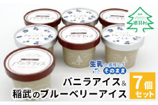 マダガスカル産バニラビーンズ香る！バニラアイスクリーム＆いなぶのブルーベリーアイス (80ml)×7個セット バニラ アイスクリーム ブルーベリー バニラアイス 生乳 5000円