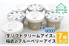 素材にとことんこだわったアイスセット！生ソフトクリーム＆稲武のブルーベリーアイス (80ml)×7個セット 5000円