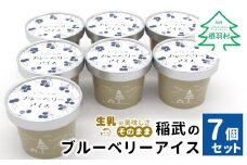 農薬・除草剤不使用！皮ごと使用！30品種をブレンドした 稲武のブルーベリー アイス(80ml)×7個入り
