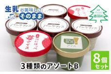 3種類のアソートB　 8個セット 6000円　バニラアイスクリーム　紅ほっぺ　西尾の抹茶　いちご　アイスクリーム　ソフトクリーム　スイーツ　デザート