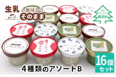4種類のアソート B　16個入り アイスクリーム アイス バニラ マダガスカル産 ブルーベリー 稲武 紅ほっぺ 苺 いちご 紅ほっぺいちご 西尾抹茶 抹茶 牛乳 アイス ミルク 10000円 10,000円