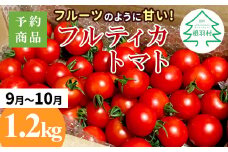 予約品※2025年9月～10月発送フルーツのように甘い フルティカトマト 1.2kg 令和7年度産 ※予約商品※割れ保障付 5000円