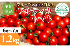 予約品※2025年6月～7月発送★フルーツのように甘い フルティカトマト 1.2kg 令和7年度産 ※予約商品※割れ保障付 5000円