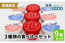 香料・着色料不使用！３種の食べ比べセット９個 (信州りんごアイス・いちごアイス・ブルーベリーアイス）100ml りんご いちご スイーツ アイスクリーム アイス アソート 詰め合わせ デザート アイスミルク 牛乳