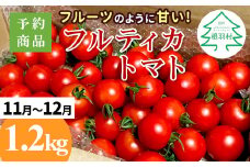 予約品※2025年11月～12月発送フルーツのように甘い フルティカトマト 1.2kg 令和7年度産 ※予約商品※割れ保障付 5000円
