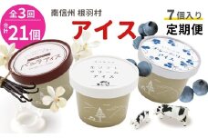  全3回★3種類のアイス定期便☆2026年1月発送～ 南信州根羽村産アイス が毎月7個届く！ 合計21個 アイス アイスクリーム 定期便 生ソフトクリームアイス バニラアイス ブルーベリー 果物 ジャム 長野県 根羽村 ソフトクリーム スイーツ