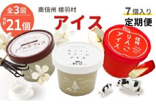 全3回★NEWフレーバーが入った！3種類のアイス定期便☆2026年1月発送～ 南信州根羽村産アイス が毎月7個届く！ 合計21個 アイス アイスクリーム ソフトクリーム バニラアイス りんご 果物 ジャム 長野県 根羽村 ソフトクリーム スイーツ 