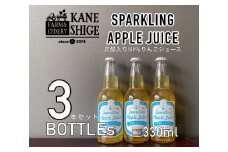 りんご果汁100％使用！ 炭酸りんごジュース 330ml×3本セット
