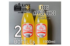 100％ストレートりんごジュース　1L×2本セット