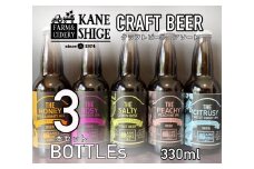 超絶フルーティなクラフトビールアソート 330ml×3本セット　