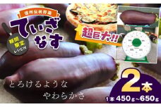 【期間限定☆レシピ付】信州伝統野菜 天龍村産ていざなす2本セット（１本450ｇ～650ｇ） | 食品 野菜 なす 茄子 ていざなす サラダ ピクルス 天龍村産 信州伝統野菜 長野県 南信州 天龍村