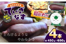 【期間限定☆レシピ付】信州伝統野菜 天龍村産ていざなす4本セット（１本450g～650g） | 食品 野菜 なす 茄子 ていざなす サラダ ピクルス 天龍村産 信州伝統野菜 長野県 南信州 天龍村