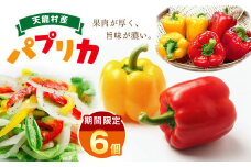 【期間限定☆】果肉が厚く旨味が濃い 天龍産パプリカ 6個セット | 食品 野菜 パプリカ サラダ ピクルス 天龍村産 信州伝統野菜 長野県 南信州 天龍村