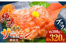 超希少 国産 信州 サーモン 刺身用 ブロック 300～320g | 魚 刺身 サーモン 信州サーモン 切り身 刺身 鮭 シャケ 海鮮 新鮮 鮮魚 お祝い 贅沢 豪華 高評価 長野県産 長野県 南信州 天龍村