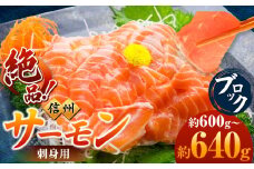 超希少 国産 信州 サーモン 刺身用 ブロック 600g～640g | 魚 刺身 サーモン 信州サーモン 切り身 刺身 鮭 シャケ 海鮮 新鮮 鮮魚 お祝い 贅沢 豪華 高評価 長野県産 長野県 南信州 天龍村