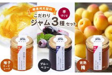  南信州産完熟果実のジャム3種セット | 加工品 ジャム 3種 果実 果肉 ゆず マーマレード ブルーベリー 梅 手作り お菓子作り 長野県 南信州 天龍村 