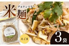 先行受付！12月中旬より発送！グルテンフリー☆えごま米麺 3袋セット |  えごま 米麺 生麵 グルテンフリー そうめん風 パスタ風 アレンジ もちもち 美 健康  長野県 南信州 天龍村