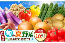 天龍村の旬の夏野菜（農産物）詰め合わせセット 7月～9月配送予定 | 食品 農産物 野菜 夏野菜 詰合せ 長野県 天龍村 信州