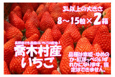 7-N01　喬木産　大粒いちご2箱