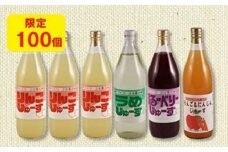 7-T01　手づくりふる里の味　果汁ジュース詰め合わせ