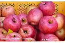 7-J15　キズありサンふじ（ご家庭用）約10kg