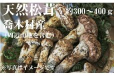 7-F01　松茸