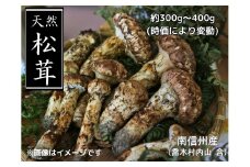 7-F01　松茸