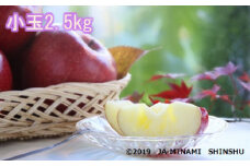 7-J13　サンふじ（小玉）約2.5kg
