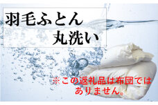 7-U01　羽毛布団丸洗いクリーニング　防ダニ加工付き（シングル1枚）