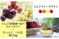 7-J25　りんごリレープラス１（りんご3兄弟 + サンふじ小玉）