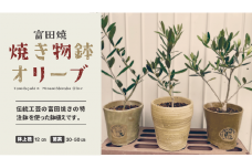 7-A27　焼物鉢オリーブ(富田焼）