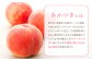 画像等の無断転載・無断使用を固く禁じます。