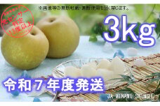 7-J04　梨（幸水）【太鼓判・優糖生】約3kg