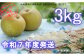 画像等の無断転載・無断使用を固く禁じます。