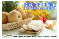 7-J28　冷蔵　梨（南水）【太鼓判・優糖生】約2.5kg