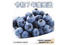 7-J30 ブルーベリー 秀3L 100gパック×10入り