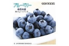 8-J30 ブルーベリー 秀3L 100gパック×10入り