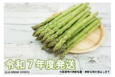 7-J31 南信州産　春のアスパラガス　ふとっちょ3Lサイズ　700g袋入り