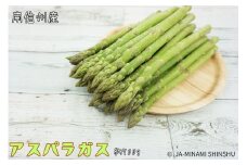 8-J31 南信州産　春のアスパラガス　ふとっちょ3Lサイズ　700g袋入り