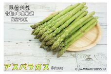 8-J31 南信州産　春のアスパラガス　ふとっちょ3Lサイズ　700g袋入り