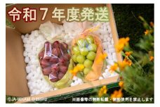 7-J32 クイーンルージュ®＆シャインマスカット 秀品 約1.2kg (各1房)