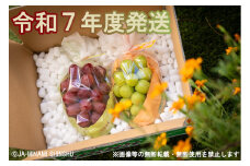 7-J32 クイーンルージュ®＆シャインマスカット 秀品 約1.2kg (各1房)