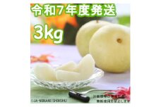 7-J33 【南信州産】20世紀梨 太鼓判 約3kg　8玉～10玉