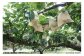 画像等の無断転載・無断使用を固く禁じます。
