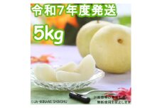 7-J34 【南信州産】20世紀梨 太鼓判 約5kg　10玉～16玉